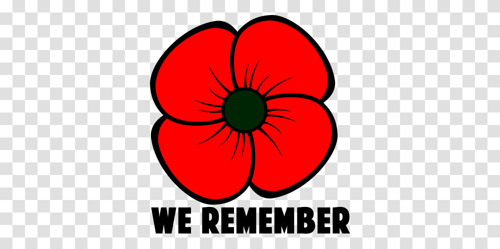 Remembrance Day Poppy Clipart All About Clipart, Plant, Flower, Blossom, Petal Transparent Png