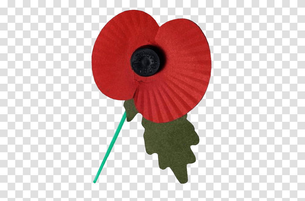 Remembrance Day Poppy, Plant, Flower, Grass Transparent Png