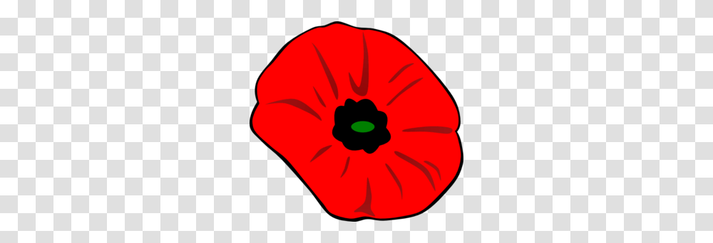 Remembrance Day Poppy With Green For Hope Clip Art, Plant, Flower, Blossom Transparent Png