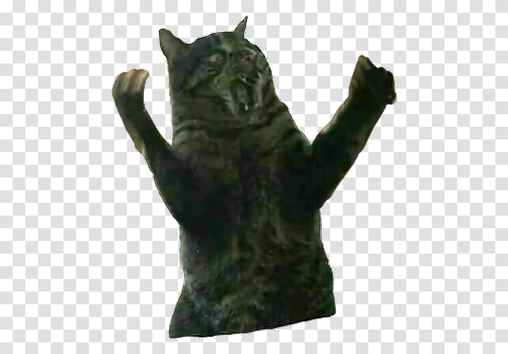 Remixit Cat Fatcat Surprise Rage Angry Animal Domestic Short Haired Cat, Alien, Reptile, Dinosaur Transparent Png
