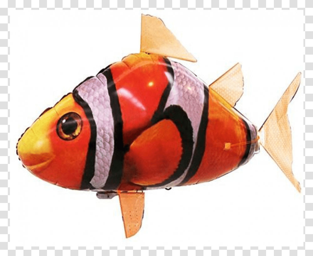 Remote Control Flying Fish Air Shark Clown FishClass Flying Balloon Fish Toy In Shopee, Animal, Amphiprion, Sea Life, Angelfish Transparent Png