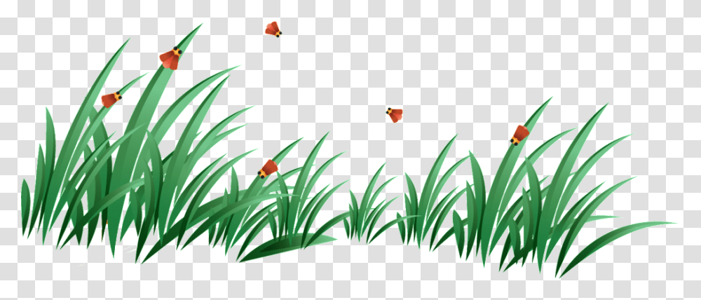 Remote Grass Decorative Free Download Vector, Plant, Vegetation, Aloe, Flower Transparent Png