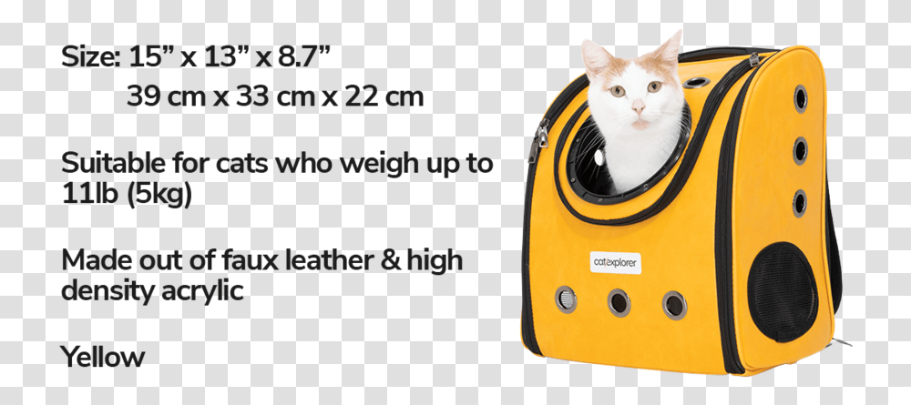 Removable Mat Easy Cleaning Cat Backpack Pioneer Explorer Squitten, Pet, Animal, Mammal, Leisure Activities Transparent Png