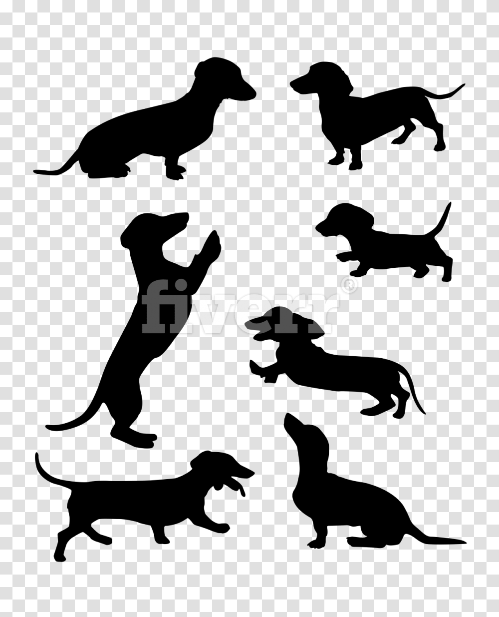 Remove Image Background Professionally Fiverr, Silhouette, Dog, Pet, Canine Transparent Png