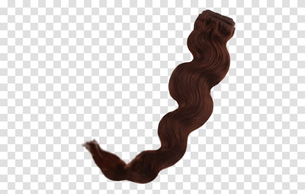 Remy Real Curly Human Hair Body Wave The Cutting Box Bocking Wig, Wood, Person, Outdoors, People Transparent Png