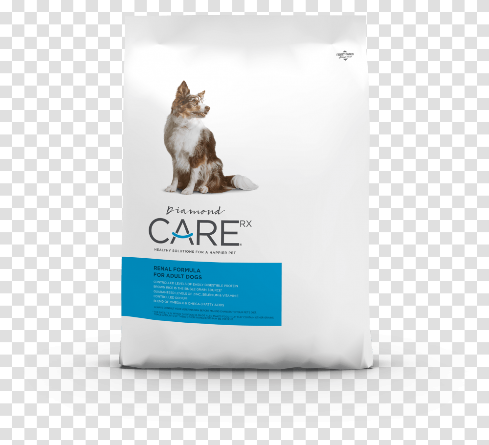 Renal Front Of Bag Norwegian Lundehund, Poster, Advertisement, Flyer, Paper Transparent Png
