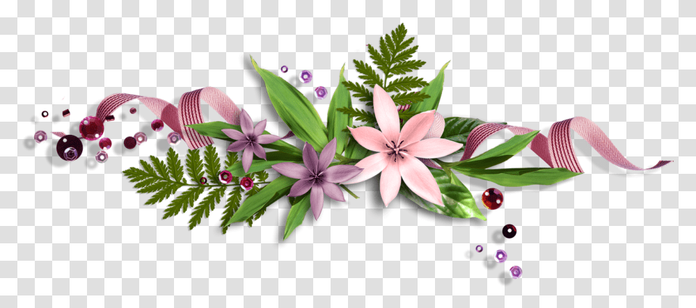 Render Nature Renders Fleurs Sree Krishna Jayanthi, Plant, Flower, Blossom Transparent Png