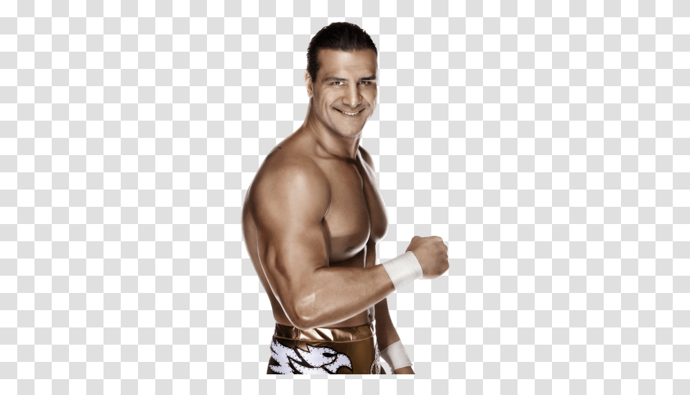 Renders Superstar Models Wwe 2k15 Alberto Del Rio, Person, Human, Arm, Working Out Transparent Png
