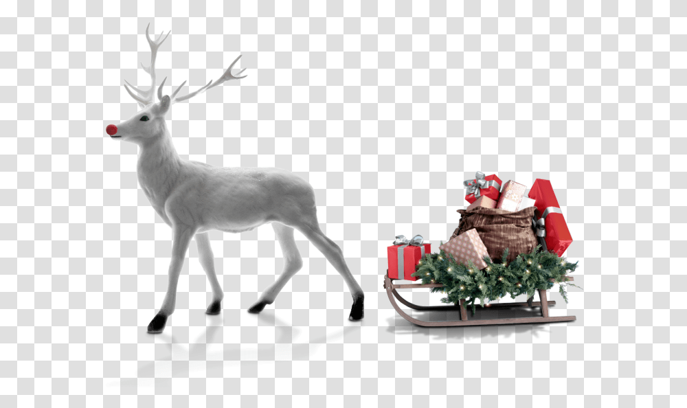 Reno De Navidad Blanco, Antelope, Wildlife, Mammal, Animal Transparent Png