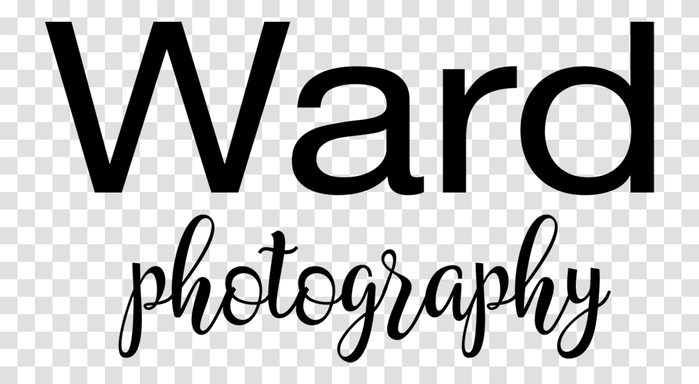 Rent This Photo Booth Calligraphy, Gray, World Of Warcraft Transparent Png