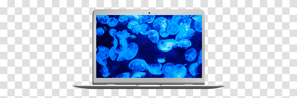 Repair Macbook Air 13 Inch, Monitor, Screen, Electronics, Display Transparent Png