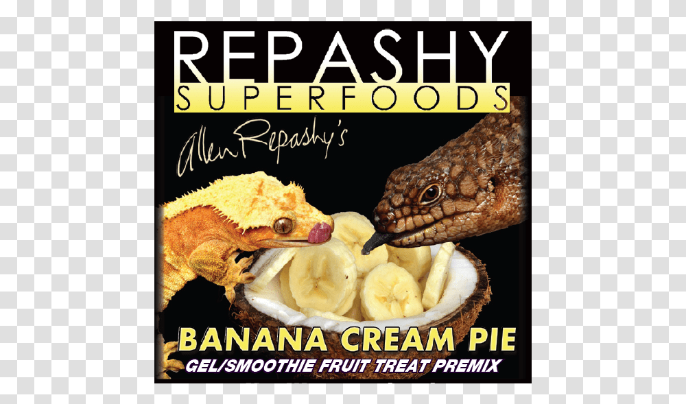 Repashy Banana Cream Pie 84 G Poster, Advertisement, Flyer, Paper, Plant Transparent Png