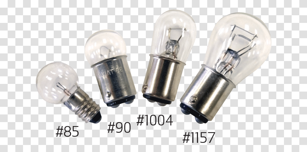 Replacement Light BulbsClass Lazyload Lazyload Fade Incandescent Light Bulb, Lightbulb, Lighting Transparent Png