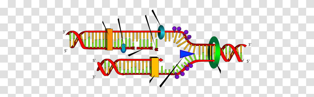 Replication Clipart Collection, Diagram, Plot, Spoke Transparent Png