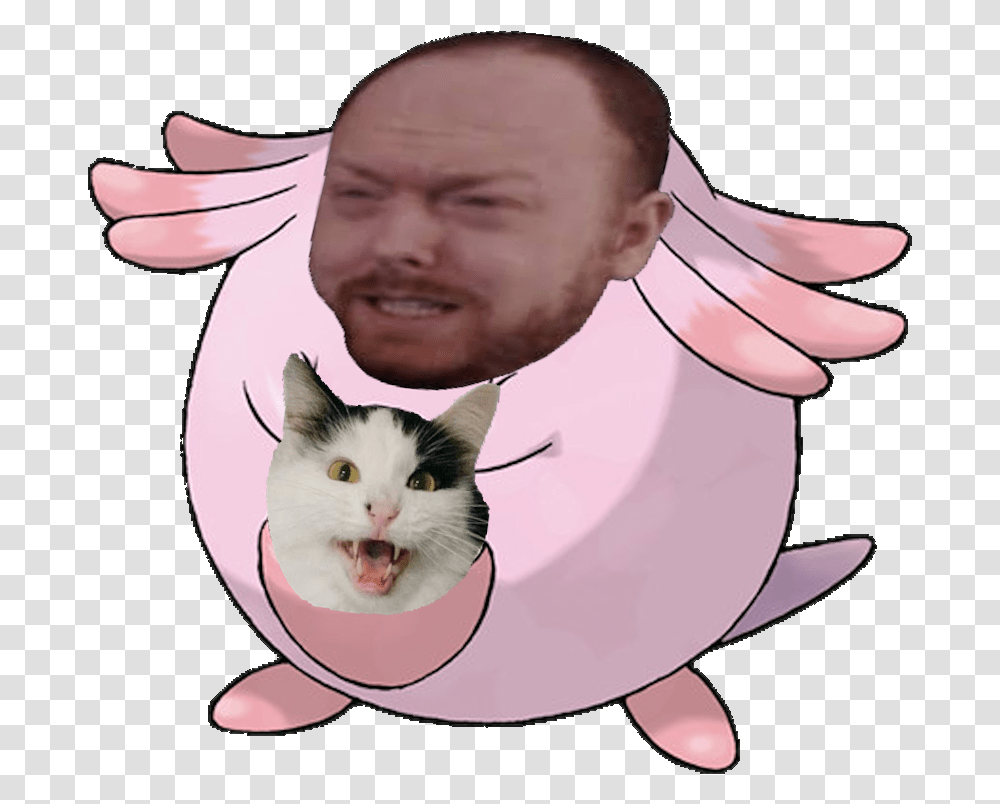 Replies 12 Retweets 294 Likes Pokemon With Egg, Person, Human, Face, Cat Transparent Png