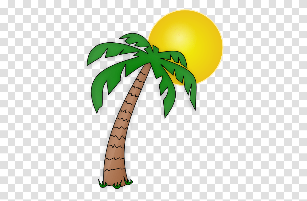 Represent Sunset Coast Properties Llc, Plant, Tree, Palm Tree, Arecaceae Transparent Png