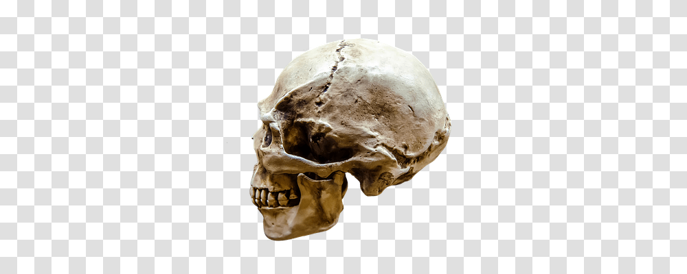 Representation Fungus, Jaw, Skeleton, Soil Transparent Png