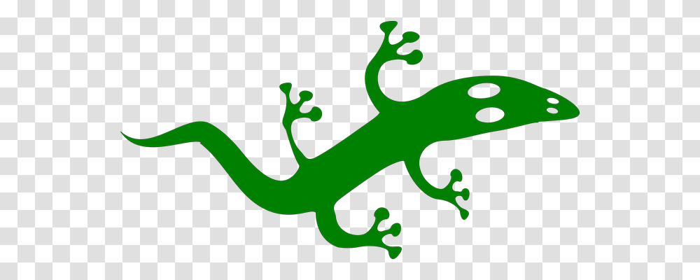 Reptile Animals, Lizard, Gecko, Iguana Transparent Png
