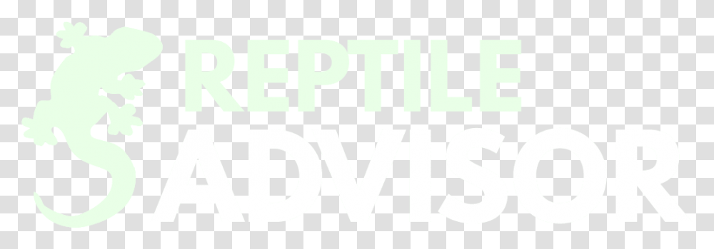 Reptile Advisor Graphic Design, Word, Alphabet, Urban Transparent Png