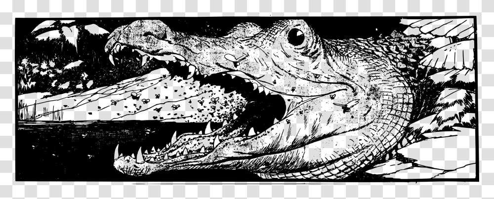 Reptileartmonochrome Photography Kepala Buaya Hitam Putih, Gray, World Of Warcraft Transparent Png