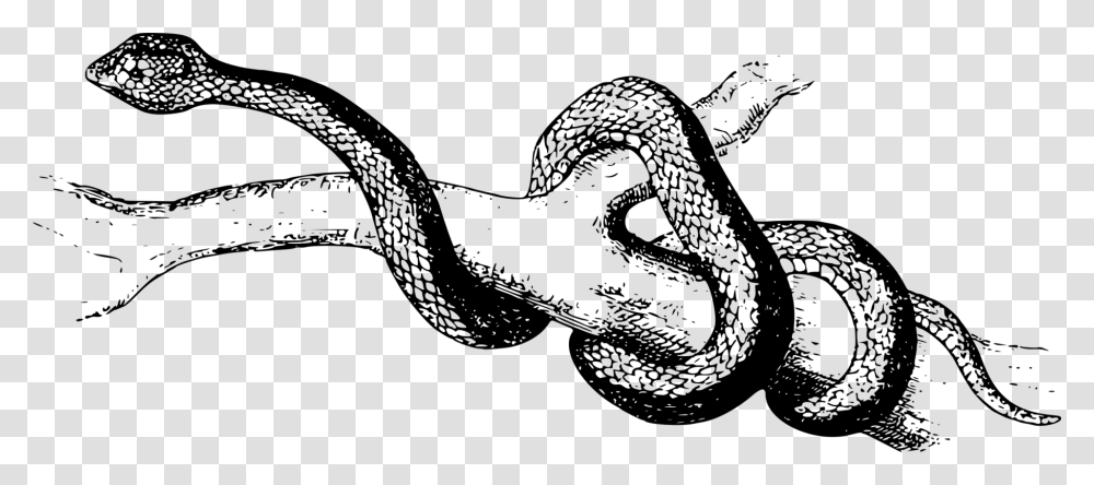 Reptileartserpent Slither Clipart Black And White, Gray, World Of Warcraft Transparent Png