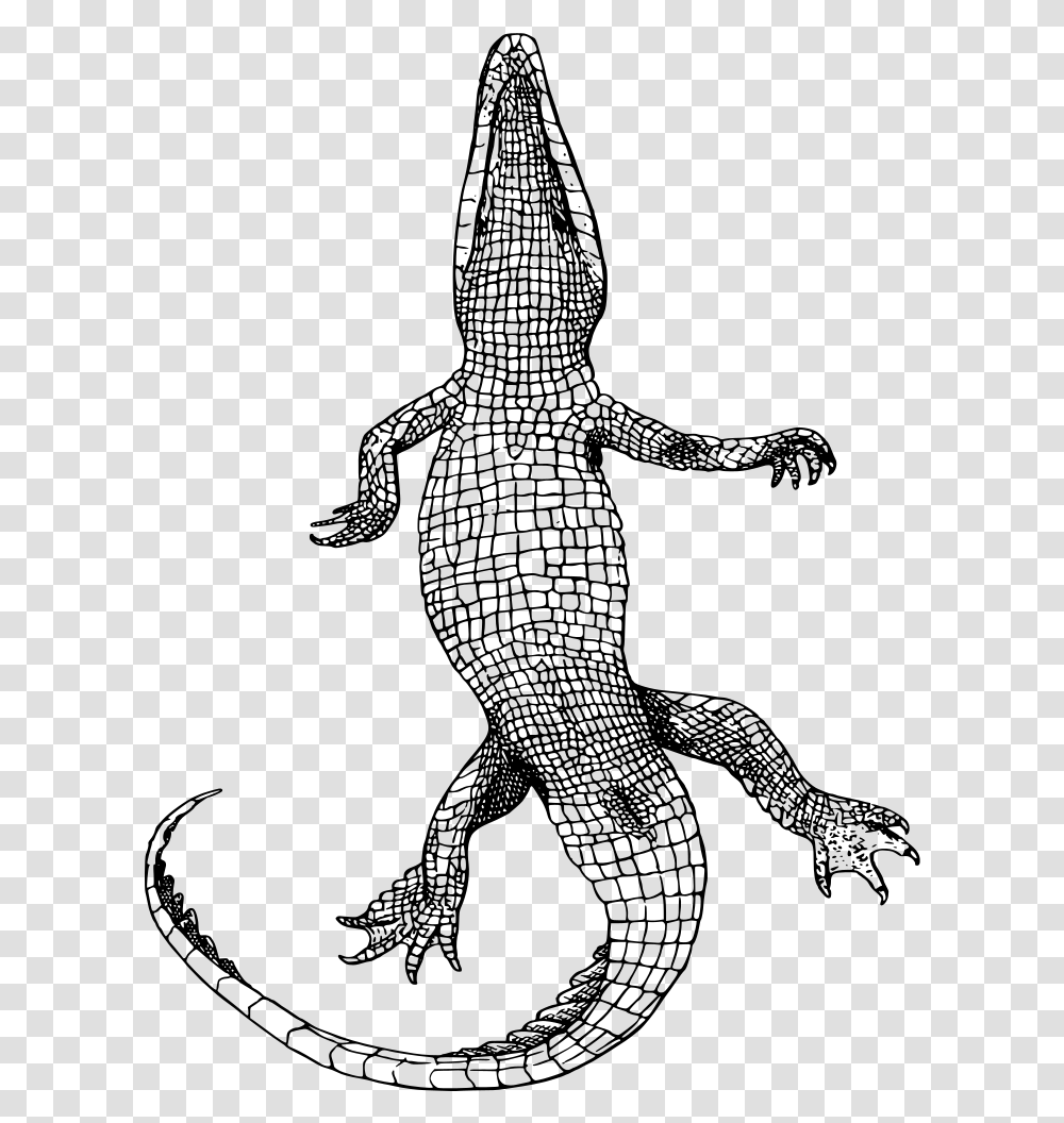 Reptileartshoe Bottom Of An Alligator, Gray, World Of Warcraft Transparent Png