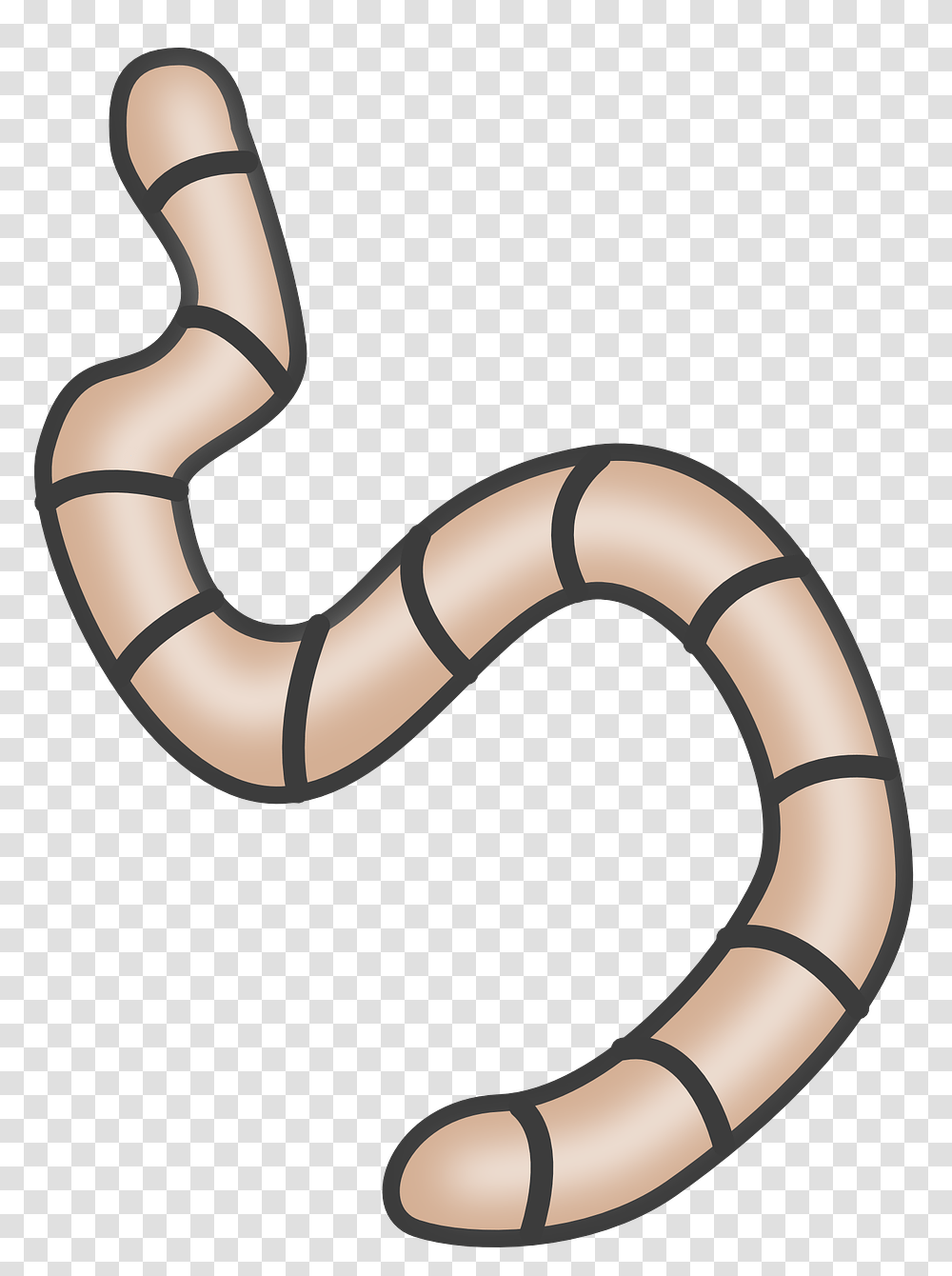 Reptilelineworm Worm Clipart, Animal, Invertebrate, Stomach Transparent Png