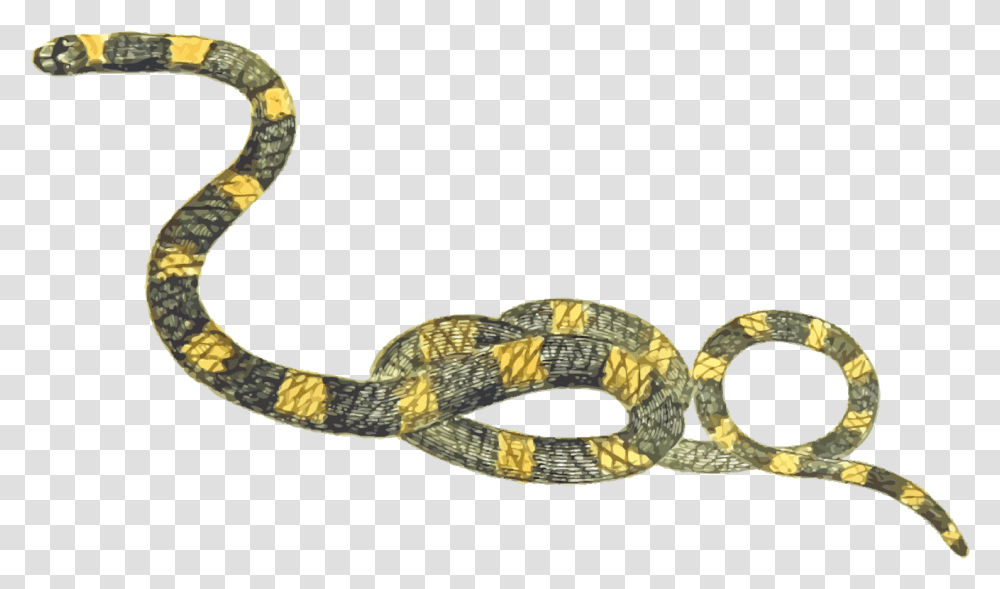 Reptiles Clipart Free Clipart Snake, Animal, Knot Transparent Png