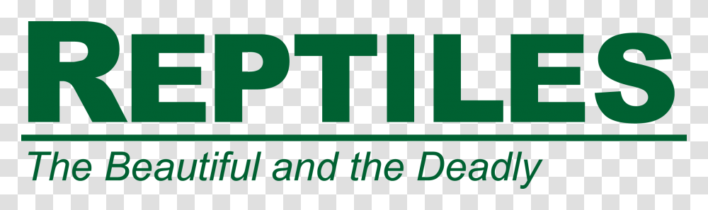 Reptiles Logo, Word, Alphabet Transparent Png