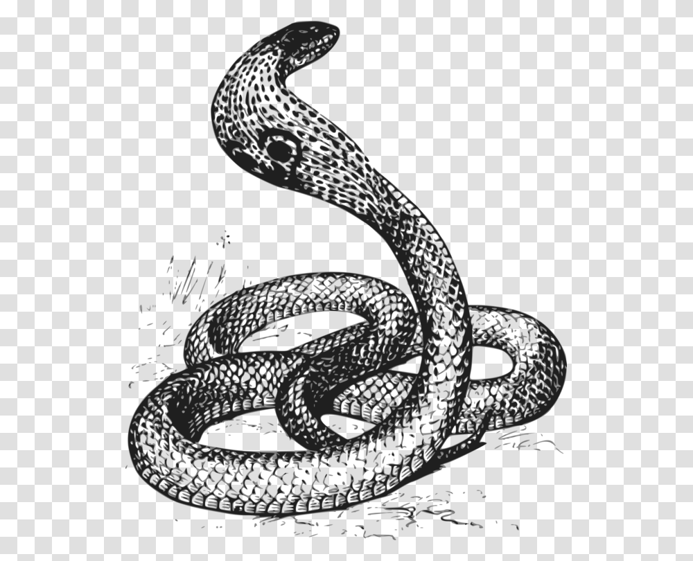 Reptileserpentcobra Black Amp White Cobra, Snake, Animal Transparent Png