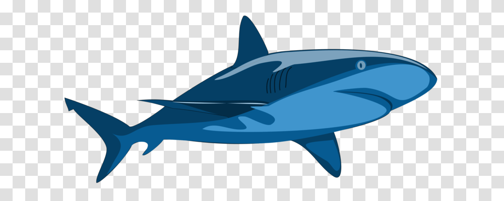 Requiem Sharks Douchegordijn Fauna Dolphin, Sea Life, Fish, Animal, Great White Shark Transparent Png