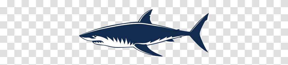Requiem Sharks Great White Shark Shark Jaws Shark Vector, Animal, Sea Life, Mammal, Whale Transparent Png