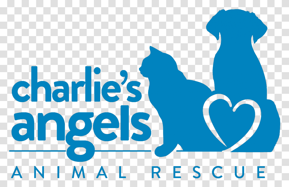 Rescue Angel Animal Rescue, Poster, Alphabet, Number Transparent Png