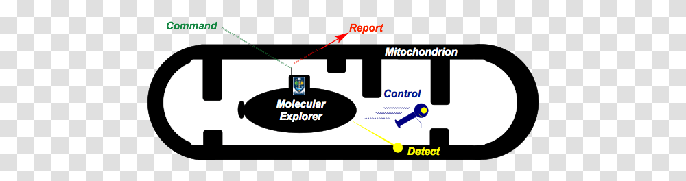 Research Online Advertising, Text, Label, Plot, Diagram Transparent Png