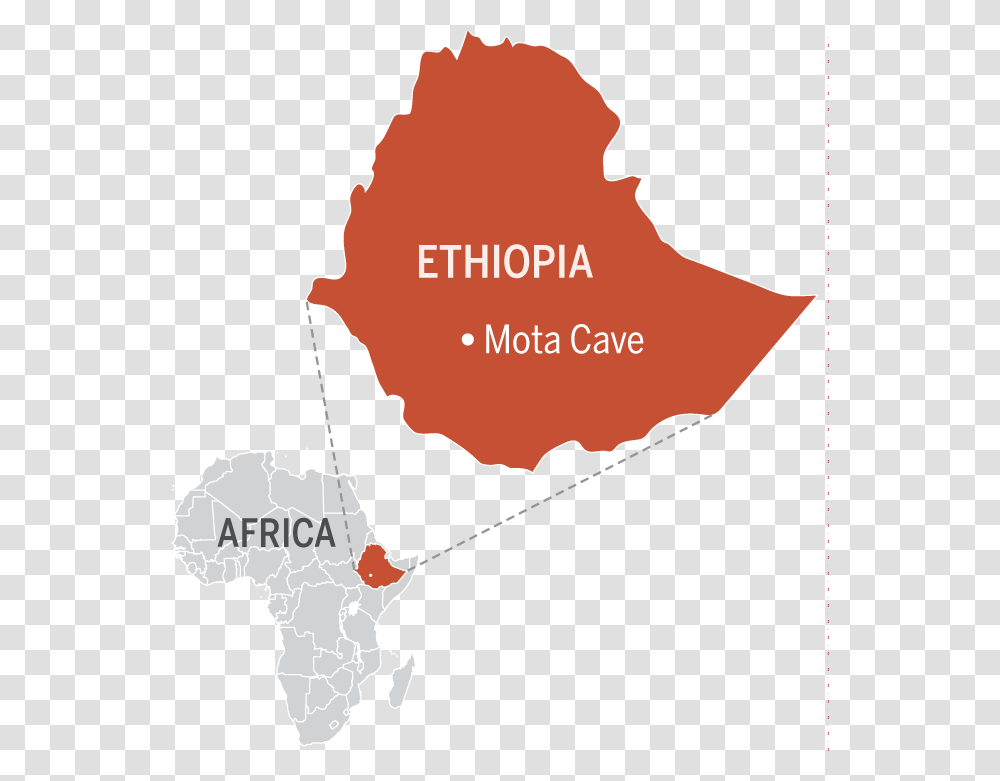 Researchers Sequenced The Genome Of A 4500 Year Old Capital Of Ethiopia Map, Leaf, Plant, Plot, Diagram Transparent Png