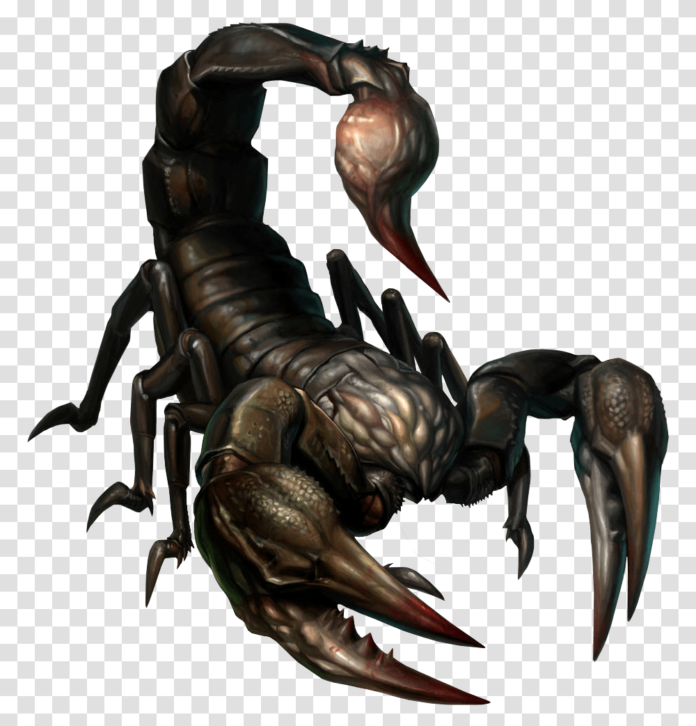 Resident Evil 0 Stinger, Hook, Claw, Lobster, Seafood Transparent Png