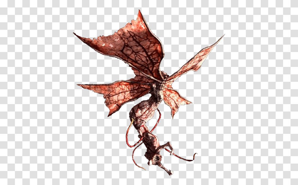 Resident Evil 5 Cephalo, Leaf, Plant, Tree, Maple Leaf Transparent Png