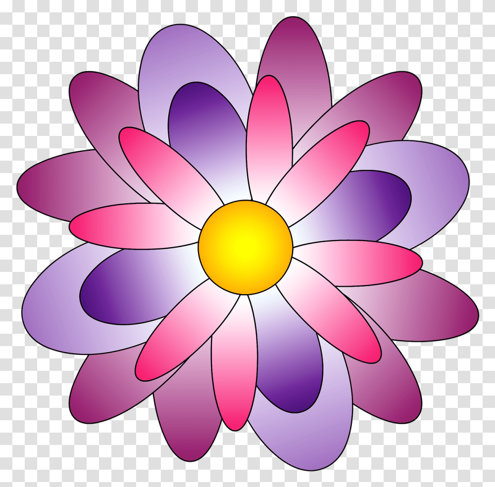 Resmi Renkli Clipart Download Flower Color Pink, Plant, Daisy, Daisies, Blossom Transparent Png