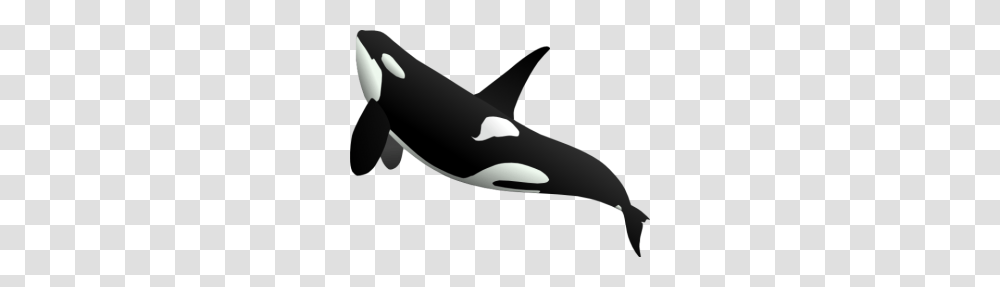 Resource Integem Creator, Orca, Mammal, Sea Life, Animal Transparent Png