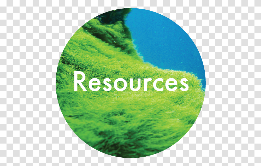 Resources 05 Circle, Land, Outdoors, Nature, Sea Transparent Png