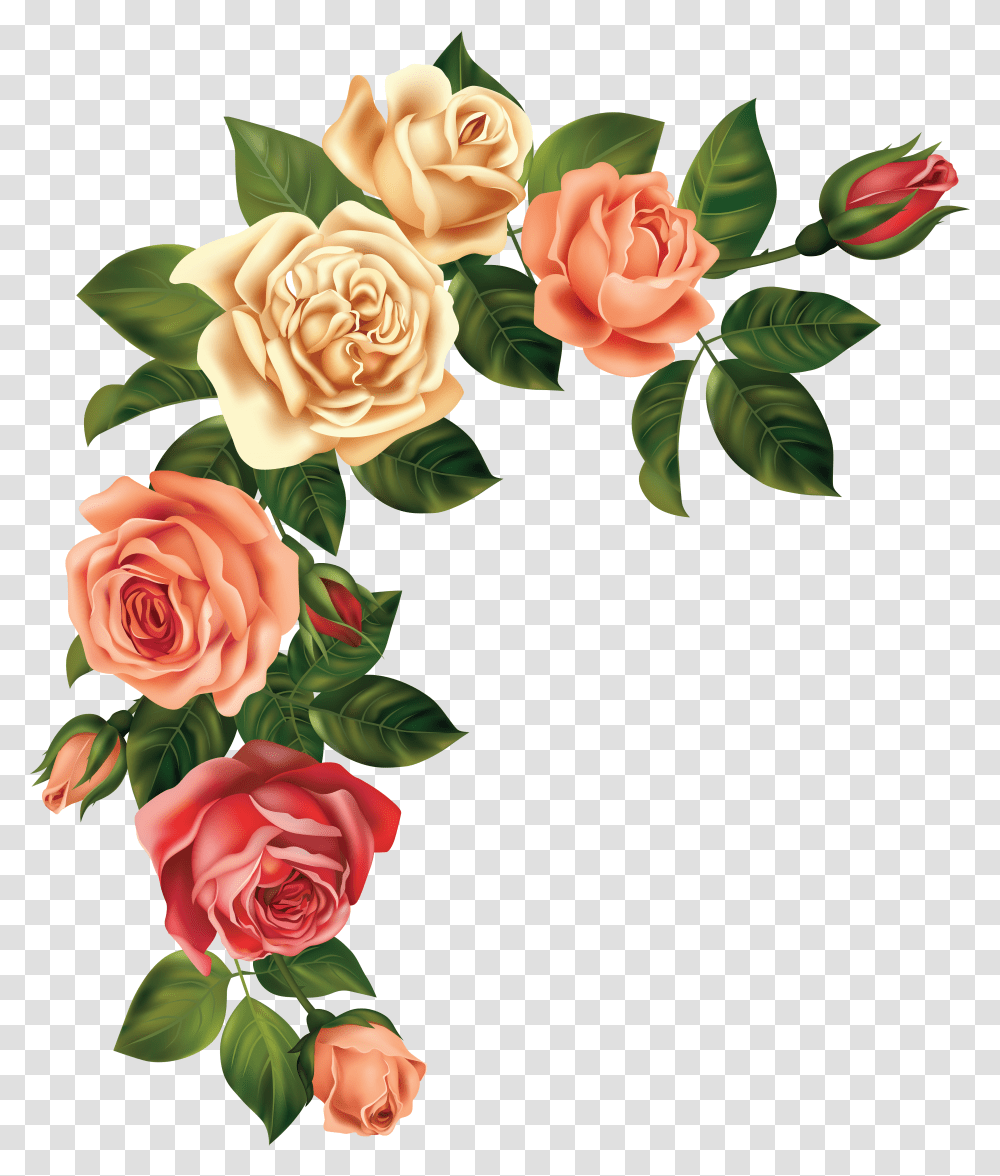 Resources Flowers Rose Transparent Png