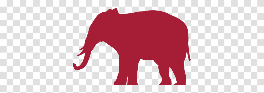Resources - Brand Guidelines The University Of Alabama Animal Figure, Mammal, Wildlife, Buffalo, Bison Transparent Png