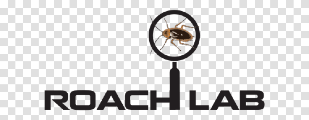 Resources - Roach Lab Cockroach, Clock Tower, Architecture, Building, Ceiling Fan Transparent Png