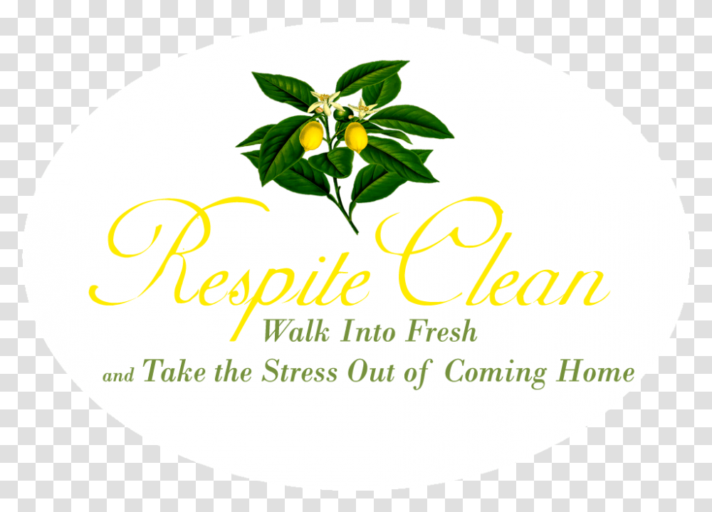 Respite Clean Label, Plant, Potted Plant, Vase, Jar Transparent Png