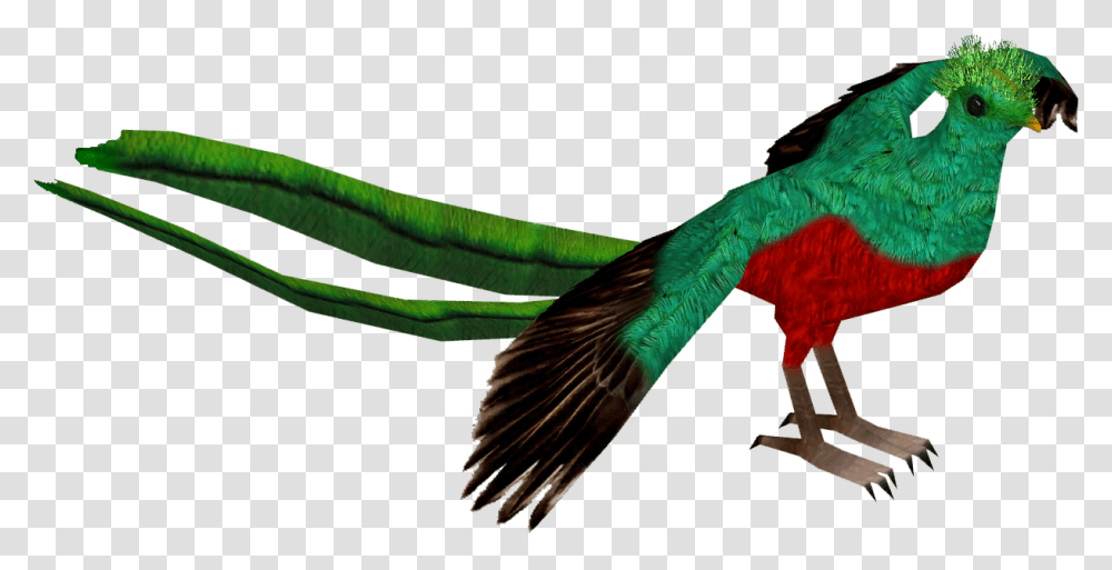 Resplendent Quetzal Pet Birds, Animal, Parrot, Macaw, Parakeet Transparent Png