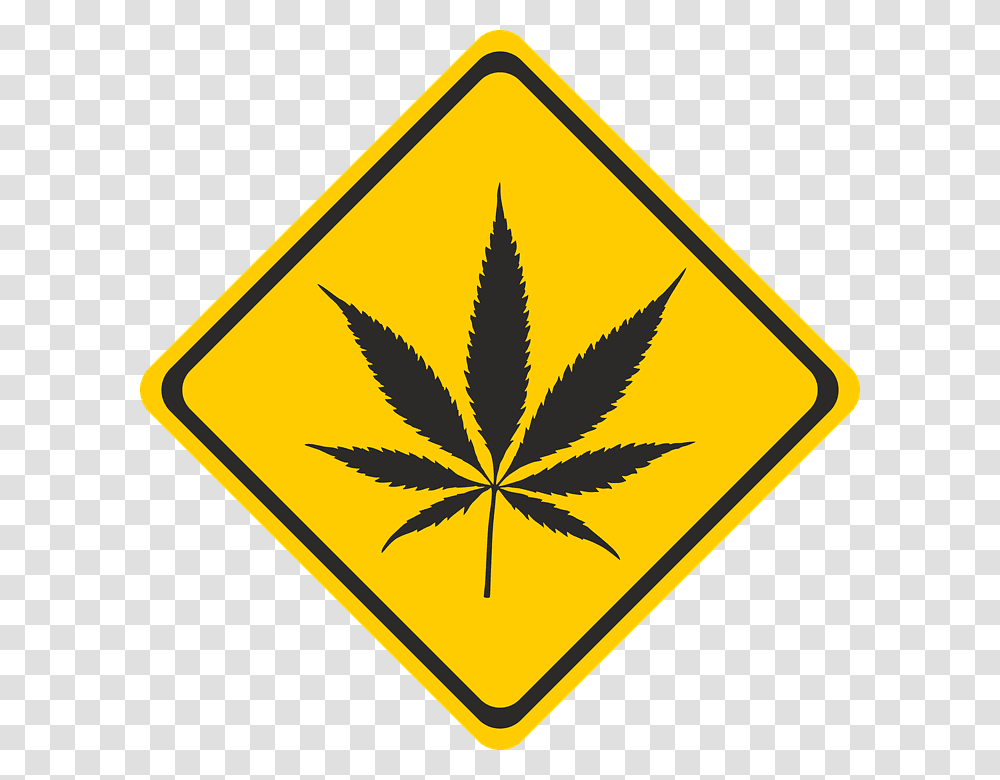 Responsible Recreational Marijuana Use In Nevada Pot Leaf, Logo, Trademark, Sign Transparent Png
