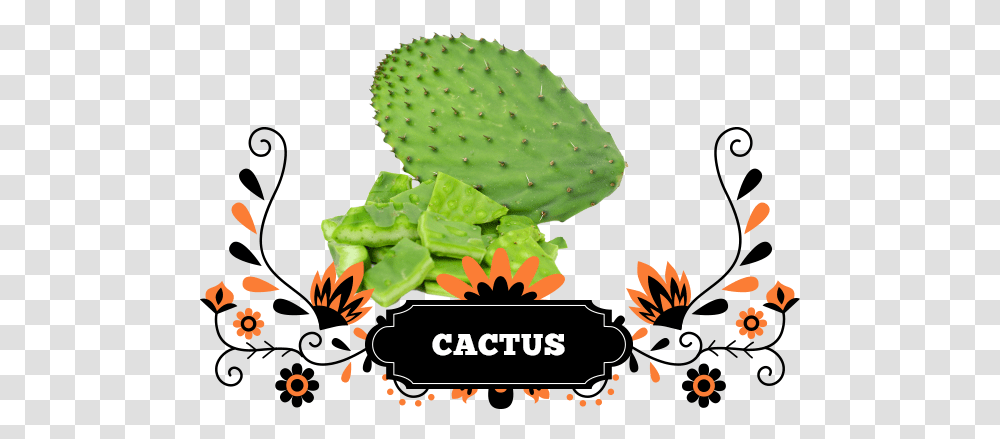 Rest Assured All Our Products Are Quality Mexican, Plant, Cactus Transparent Png