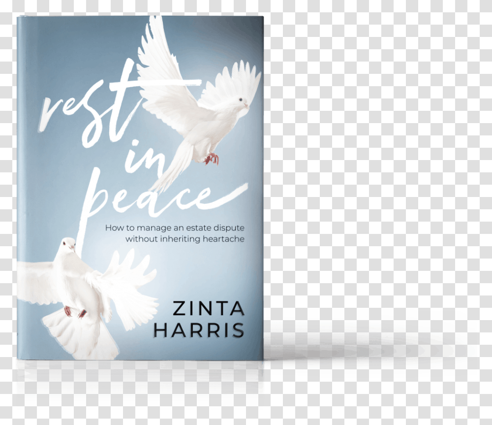Rest In Peace, Bird, Animal, Dove, Pigeon Transparent Png