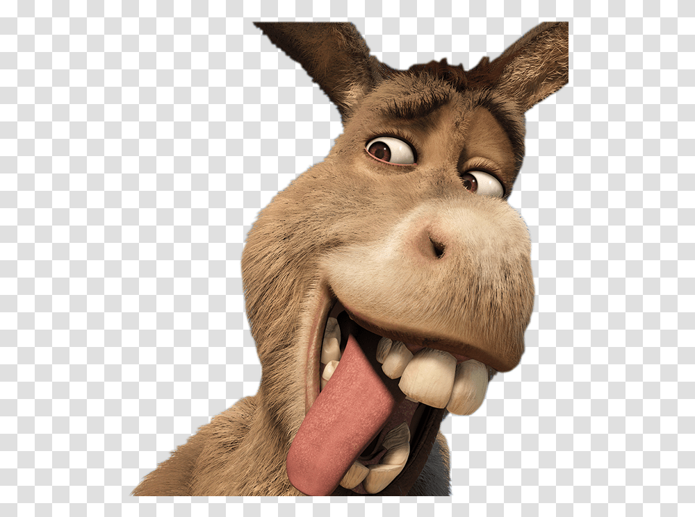 Resultado De Imagen De Burro Donkey Shrek, Mammal, Animal, Mouth, Lip Transparent Png