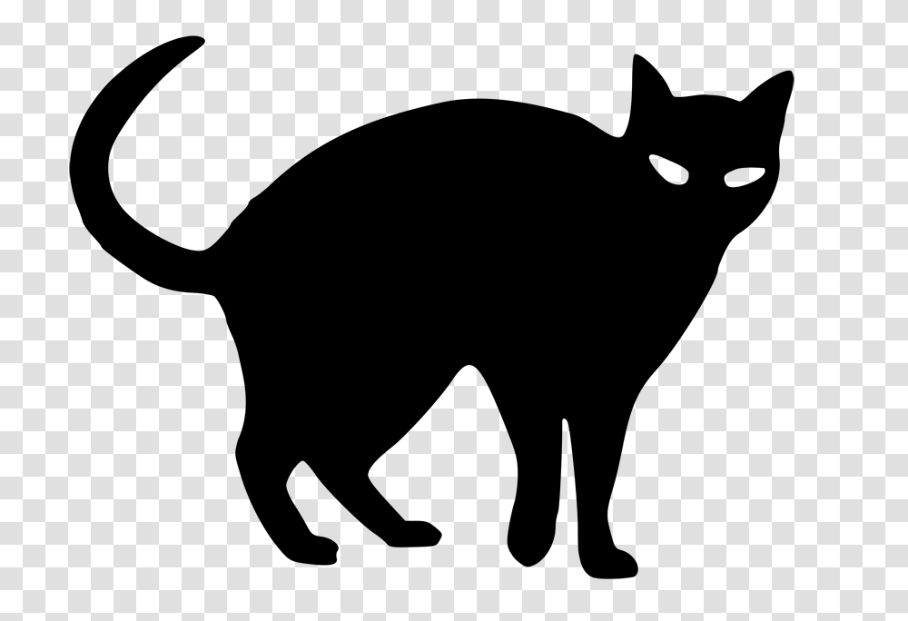 Resultado De Imagen Para Black Cat Draw Brujas, Face Transparent Png
